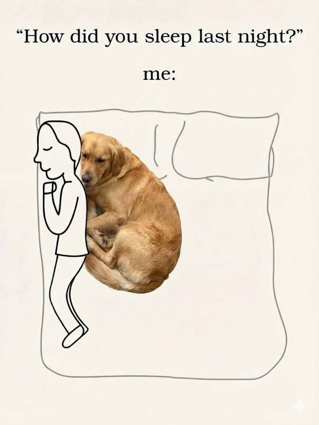 I slept great... but someone else slept even better 😴
.
.
.
Follow me: ➡ @goldenretrievers_lovers_ For More 😉 . . . .
#goldenretriever #goldenretrievers #goldenretrieverpuppy #goldenretrieversofinstagram #goldenretrieverlove #goldenretrieverlovers #goldenretrieversworld #goldenretrieverworld #goldenretrievertoday #goldenretrieverpuppies #goldenretrieverofinstagram #goldenretrieverlover #goldenretrieversofig #goldenretrieverphotos #goldenretriever360 #goldenretrieverslovex #goldenretriever_pictures #goldenretrievershirt #goldenretrieversarethebest #goldenretrieverproblems #goldenretrieveroninstagram #goldenretrievermix #goldenretrieverpuppys #goldenretrieverph #goldenretrievergram